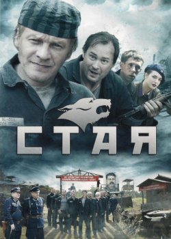 Стая